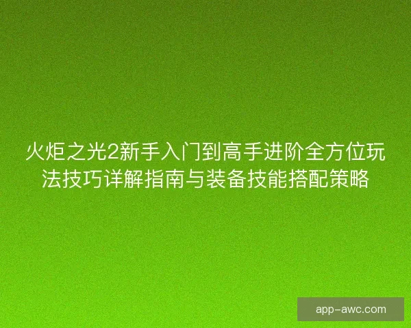 火炬之光2新手入门到高手进阶全方位玩法技巧详解指南与装备技能搭配策略