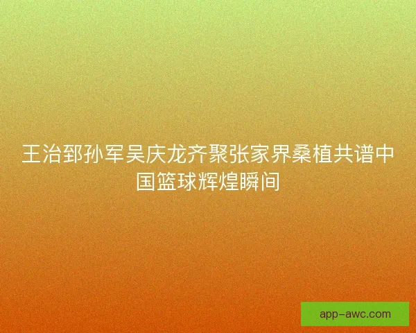 王治郅孙军吴庆龙齐聚张家界桑植共谱中国篮球辉煌瞬间 王治郅孙军吴庆龙齐聚张家界桑植共谱中国篮球辉煌瞬间