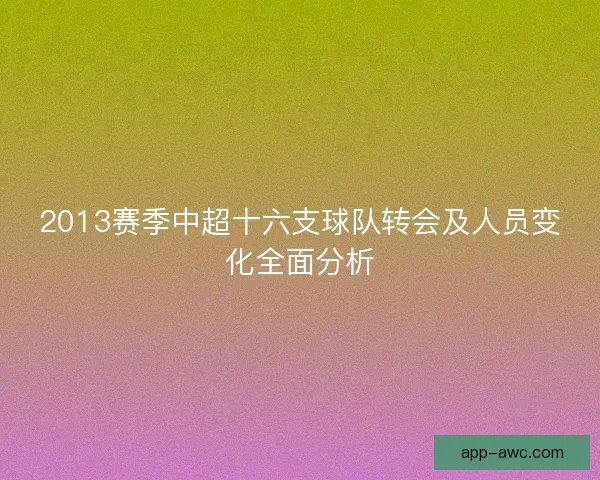 2013赛季中超十六支球队转会及人员变化全面分析