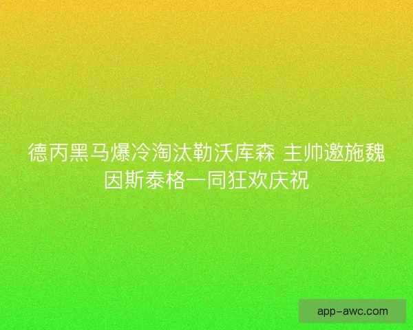 德丙黑马爆冷淘汰勒沃库森 主帅邀施魏因斯泰格一同狂欢庆祝 德丙黑马爆冷淘汰勒沃库森 主帅邀施魏因斯泰格一同狂欢庆祝