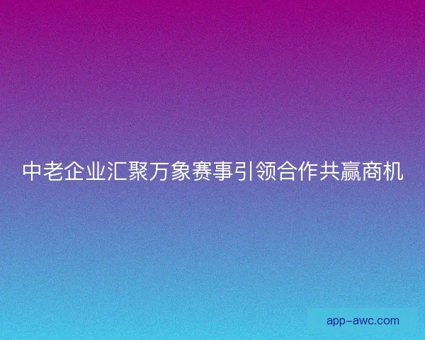 中老企业汇聚万象赛事引领合作共赢商机 中老企业汇聚万象赛事引领合作共赢商机
